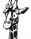 Žirafe1